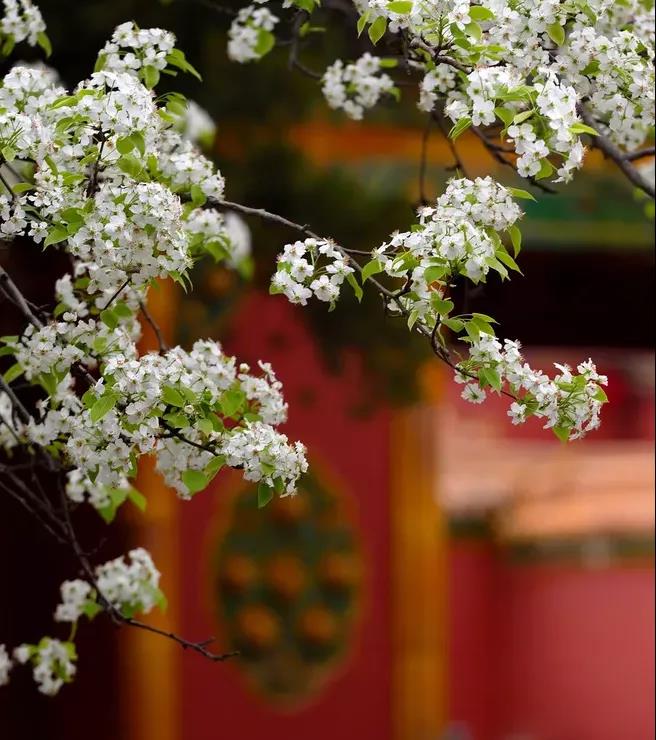 BWIN·必赢(中国)唯一官方网站