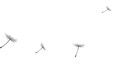 BWIN·必赢(中国)唯一官方网站